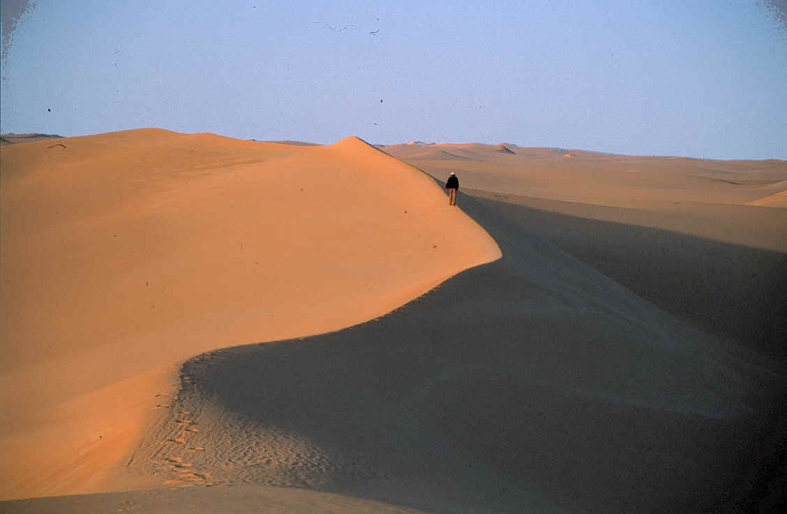 Safari I Egypten i Sahara och Oasarna
